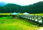 Dalhousie – Khajjiar Excursion