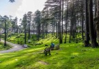 Pahalgam to Patnitop